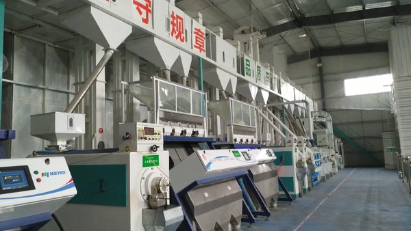 大米加工生产制度 从田间到餐桌的标准化管控体系